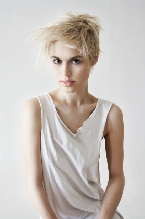 Shorthaired Blonde 25